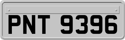 PNT9396