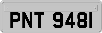 PNT9481