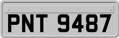 PNT9487