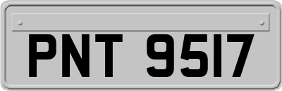 PNT9517