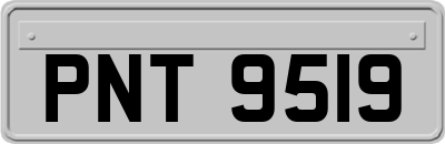 PNT9519
