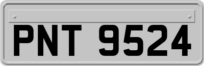 PNT9524