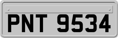 PNT9534