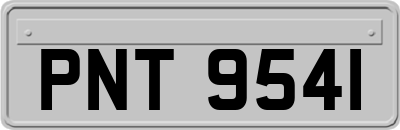 PNT9541