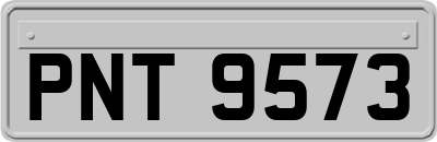 PNT9573