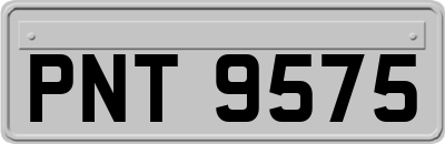 PNT9575