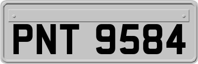 PNT9584