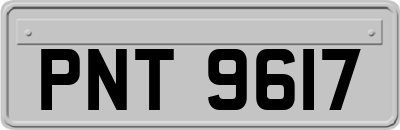 PNT9617