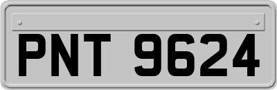 PNT9624
