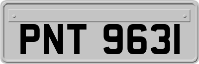 PNT9631