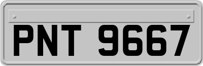 PNT9667