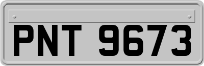 PNT9673