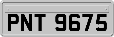 PNT9675