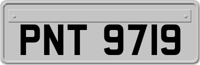 PNT9719