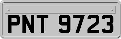 PNT9723