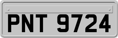 PNT9724