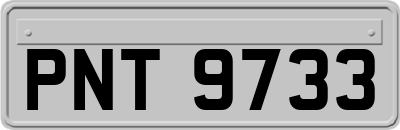 PNT9733
