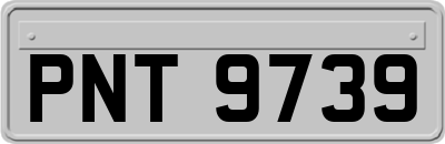 PNT9739
