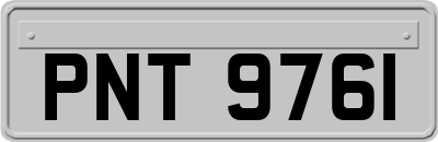 PNT9761