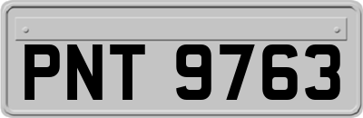 PNT9763