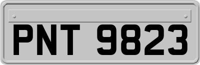 PNT9823