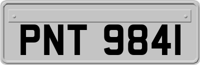 PNT9841