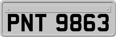 PNT9863