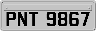 PNT9867
