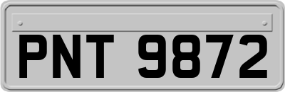 PNT9872