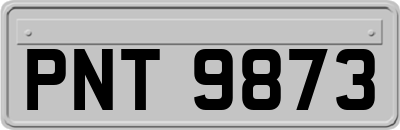 PNT9873