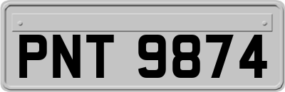 PNT9874