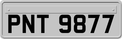 PNT9877