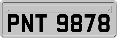 PNT9878