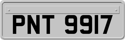 PNT9917