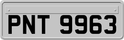 PNT9963