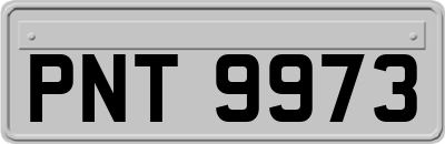PNT9973