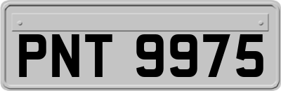 PNT9975