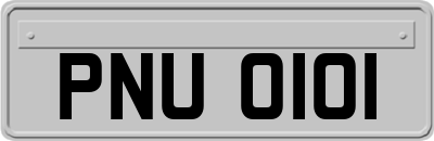 PNU0101