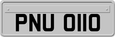 PNU0110