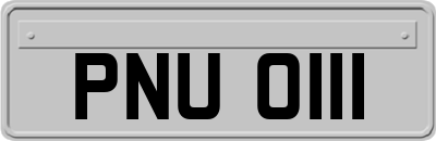 PNU0111