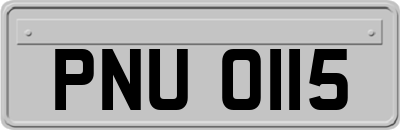 PNU0115
