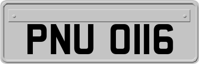 PNU0116