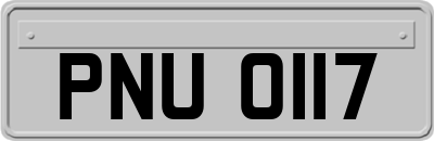 PNU0117