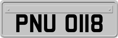 PNU0118
