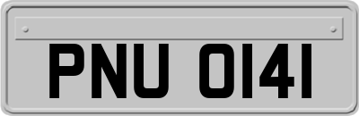 PNU0141