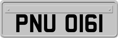 PNU0161