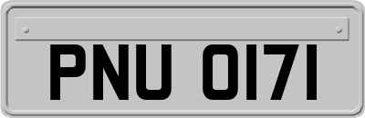 PNU0171