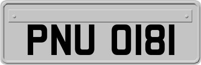PNU0181