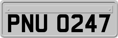 PNU0247