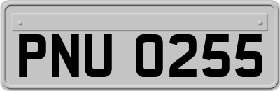 PNU0255